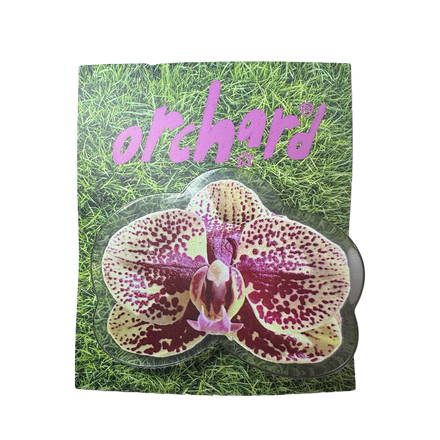 SAMPLE SALE ORCHID CLIP