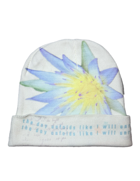 Beanie 1