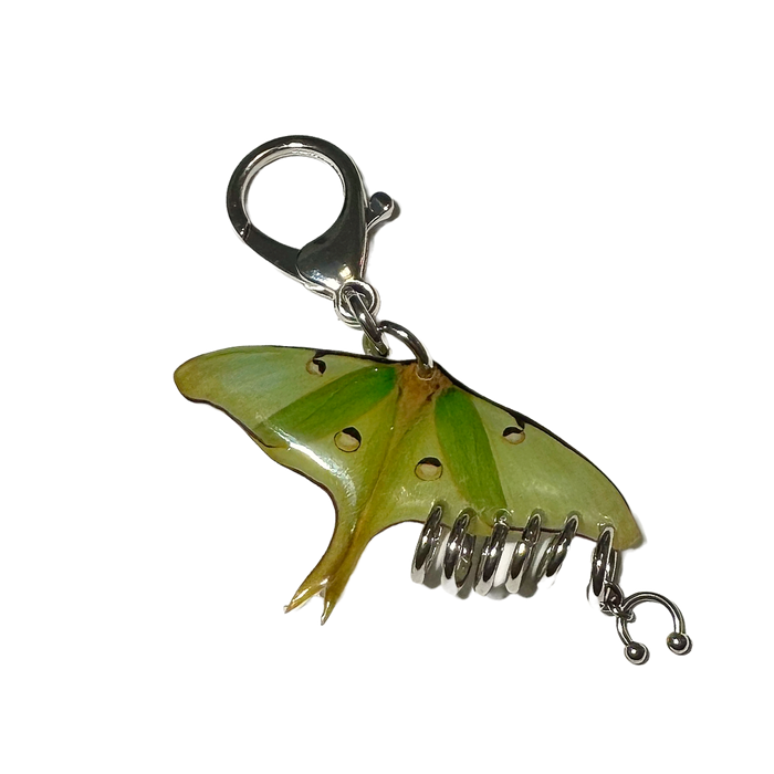 Luna Moth Keychain