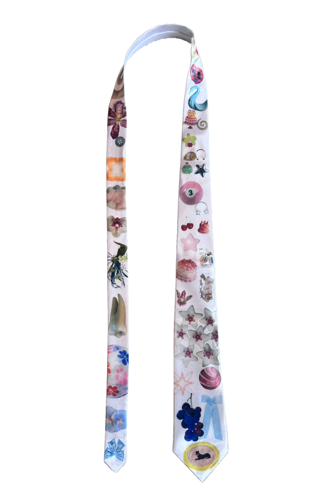 Tie 1243