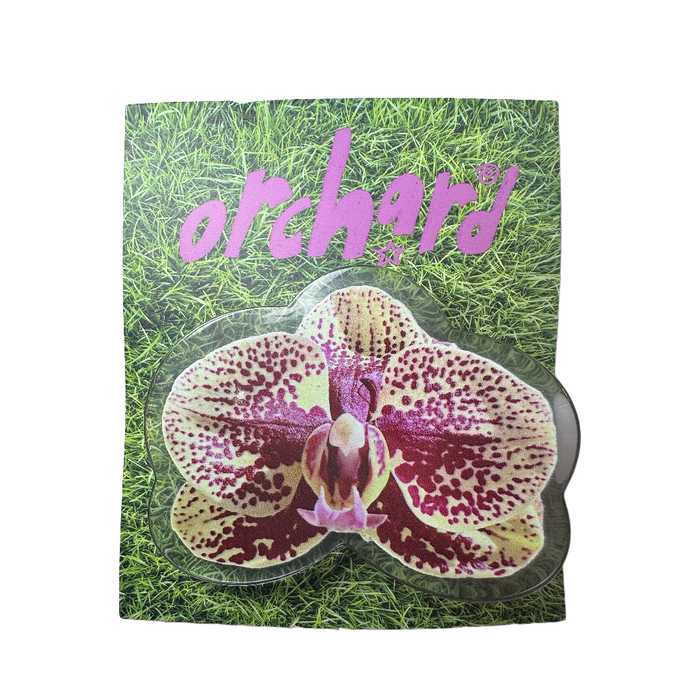 SAMPLE SALE ORCHID CLIP