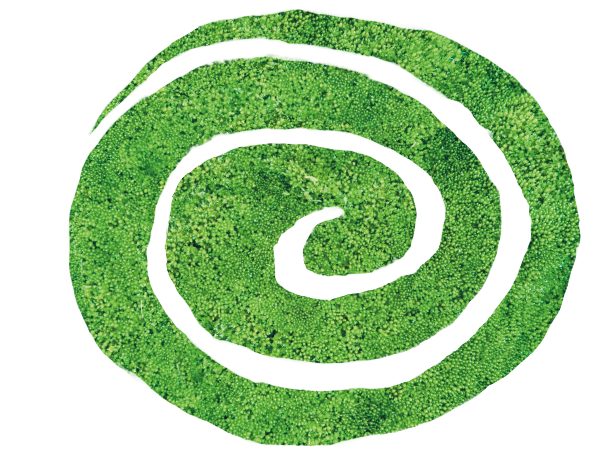 Events– Orchard NYC