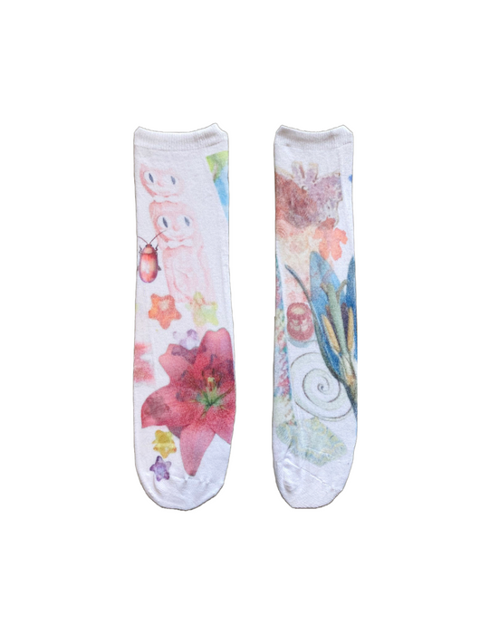 Socks 1.0